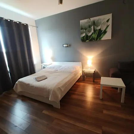 Smolna 9 Centrum 홈스테이